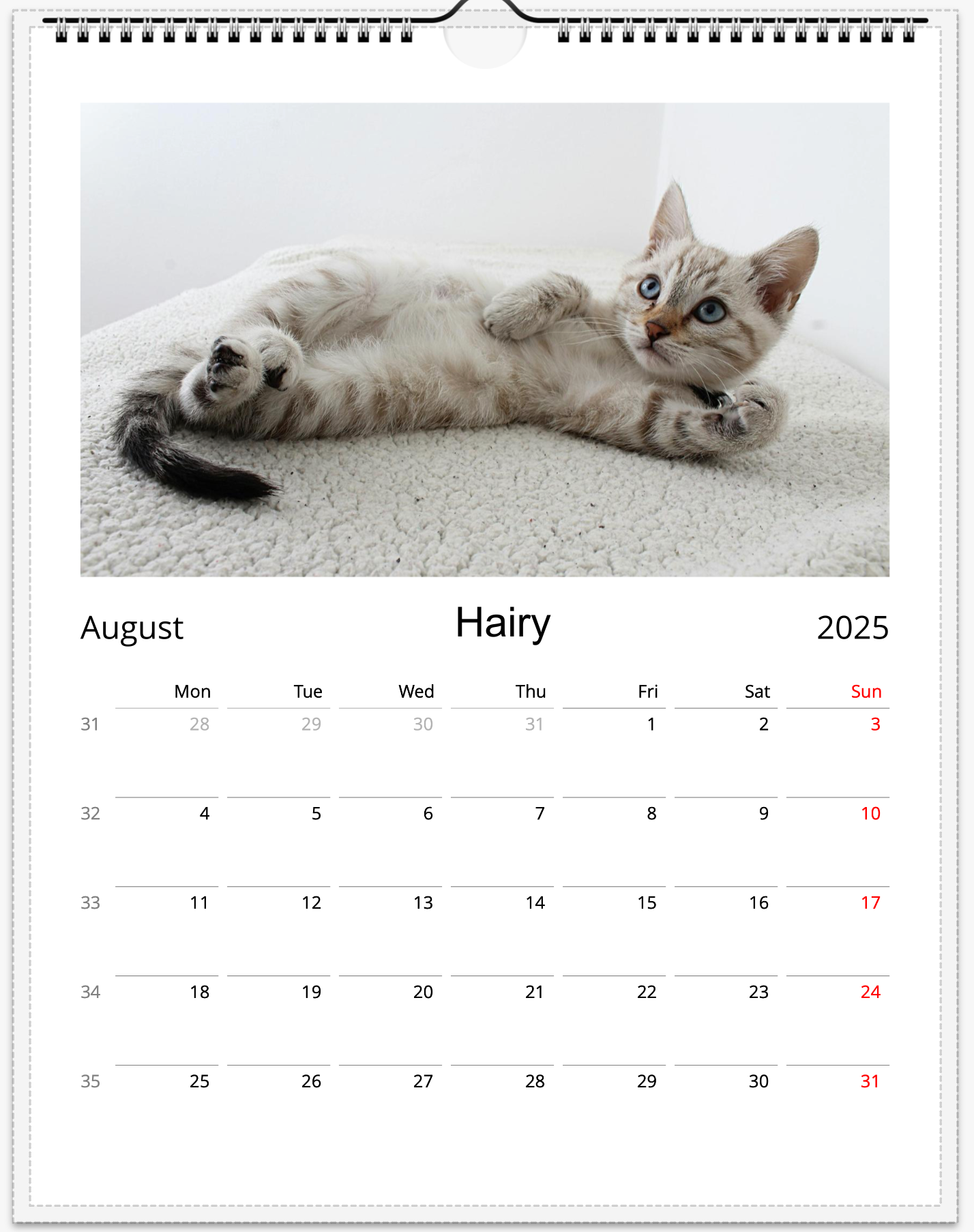 Tail-of-the-Month Calendar + Winner Discount (May 2025 - May 2026)