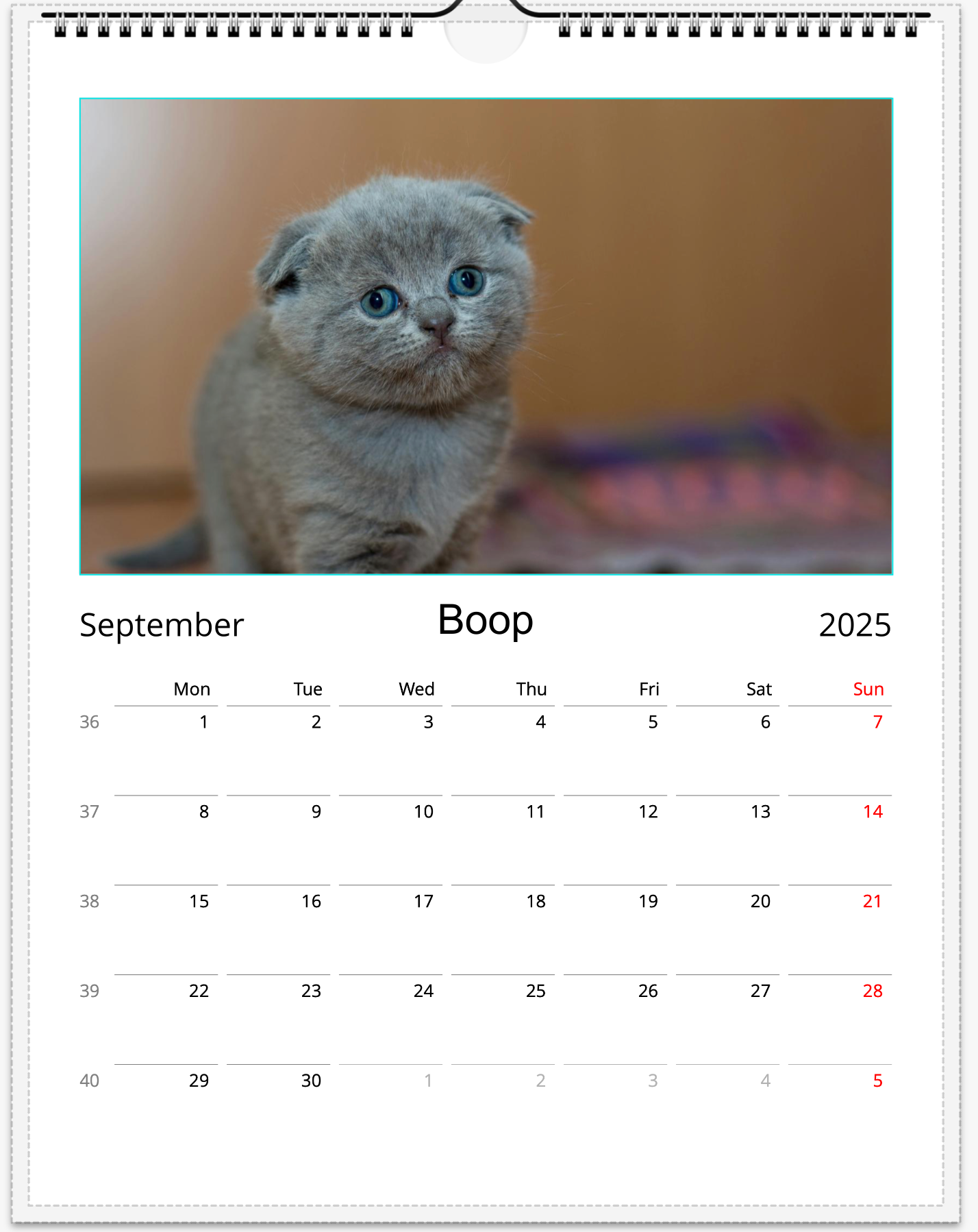 Tail-of-the-Month Calendar + Winner Discount (May 2025 - May 2026) (Copy)