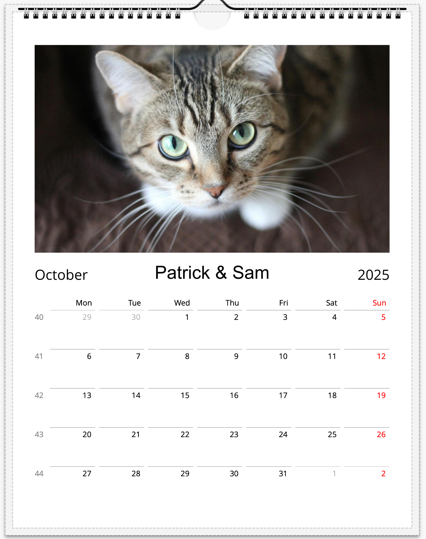 Tail-of-the-Month Calendar + Winner Discount (May 2025 - May 2026)