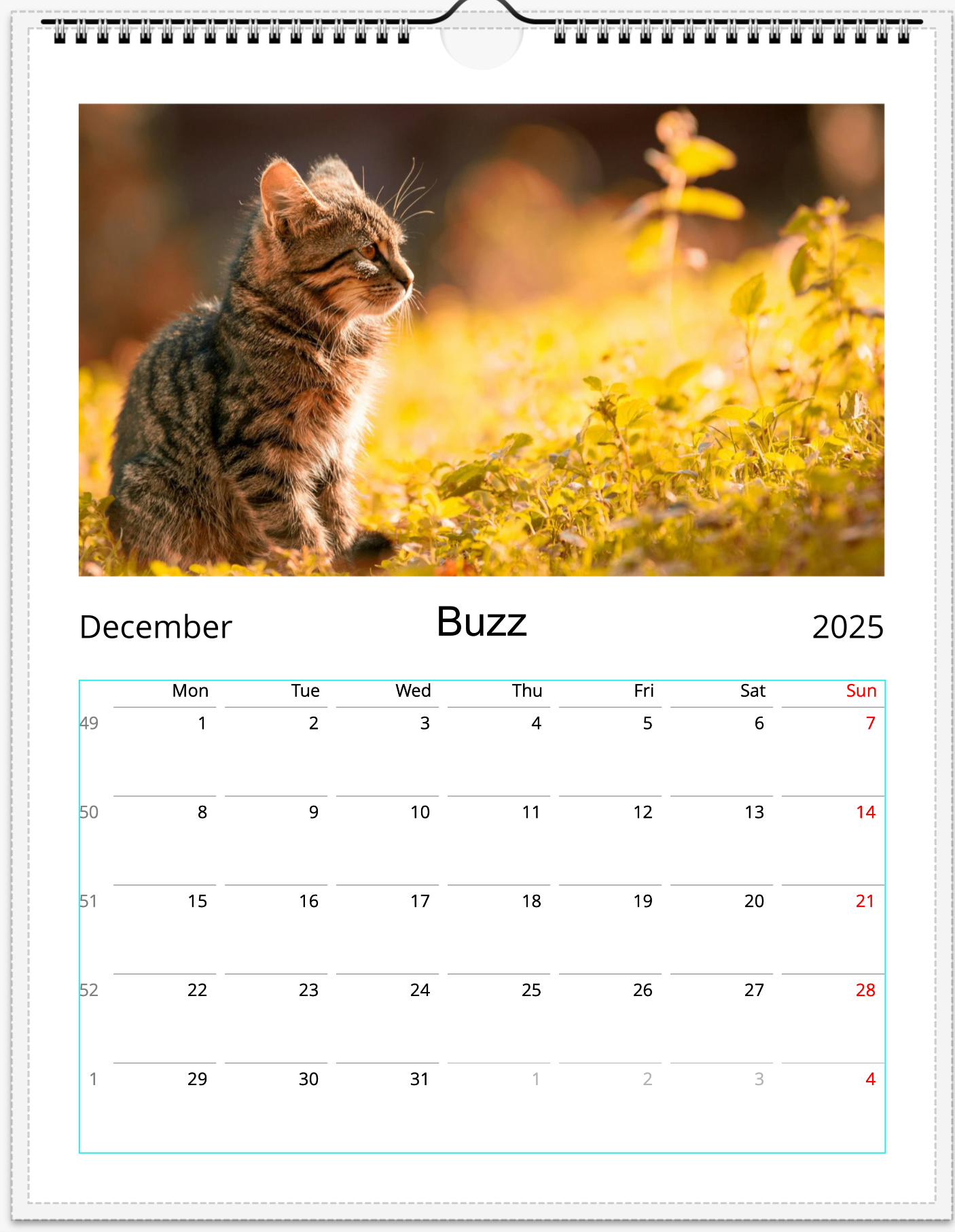 Tail-of-the-Month Calendar + Winner Discount (May 2025 - May 2026) (Copy)