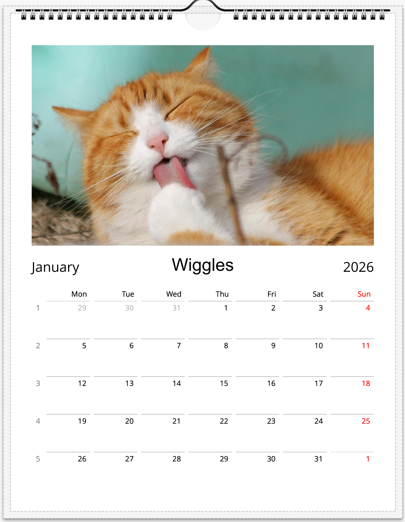 Tail-of-the-Month Calendar + Winner Discount (May 2025 - May 2026) (Copy)