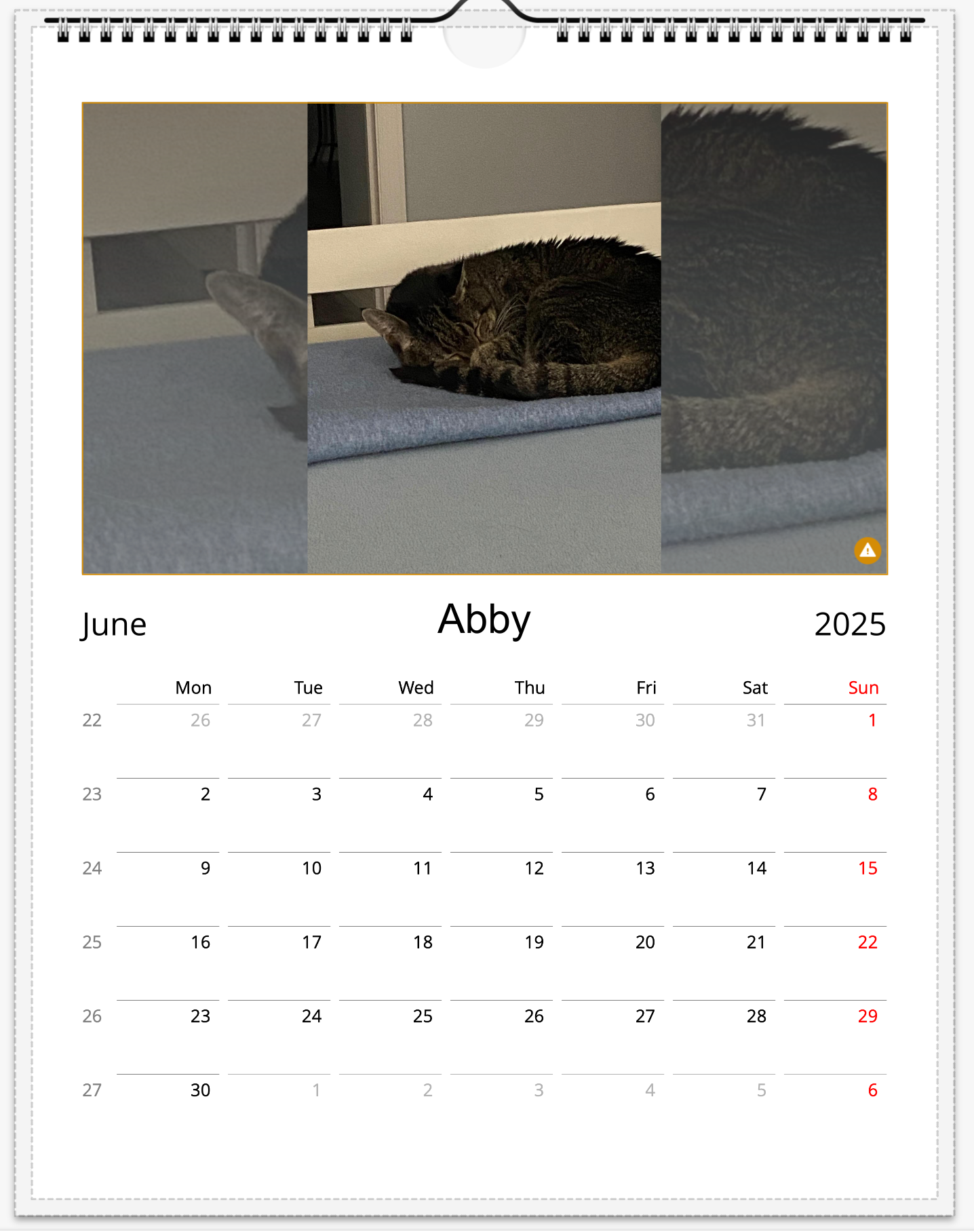 Tail-of-the-Month Calendar + Winner Discount (May 2025 - May 2026)