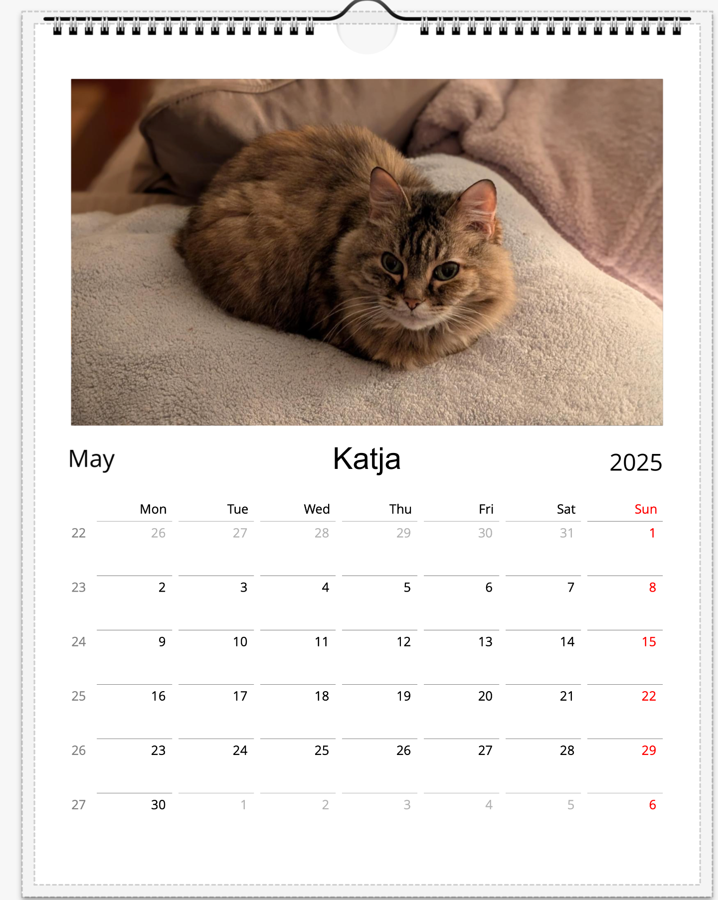 Tail-of-the-Month Calendar + Winner Discount (May 2025 - May 2026)