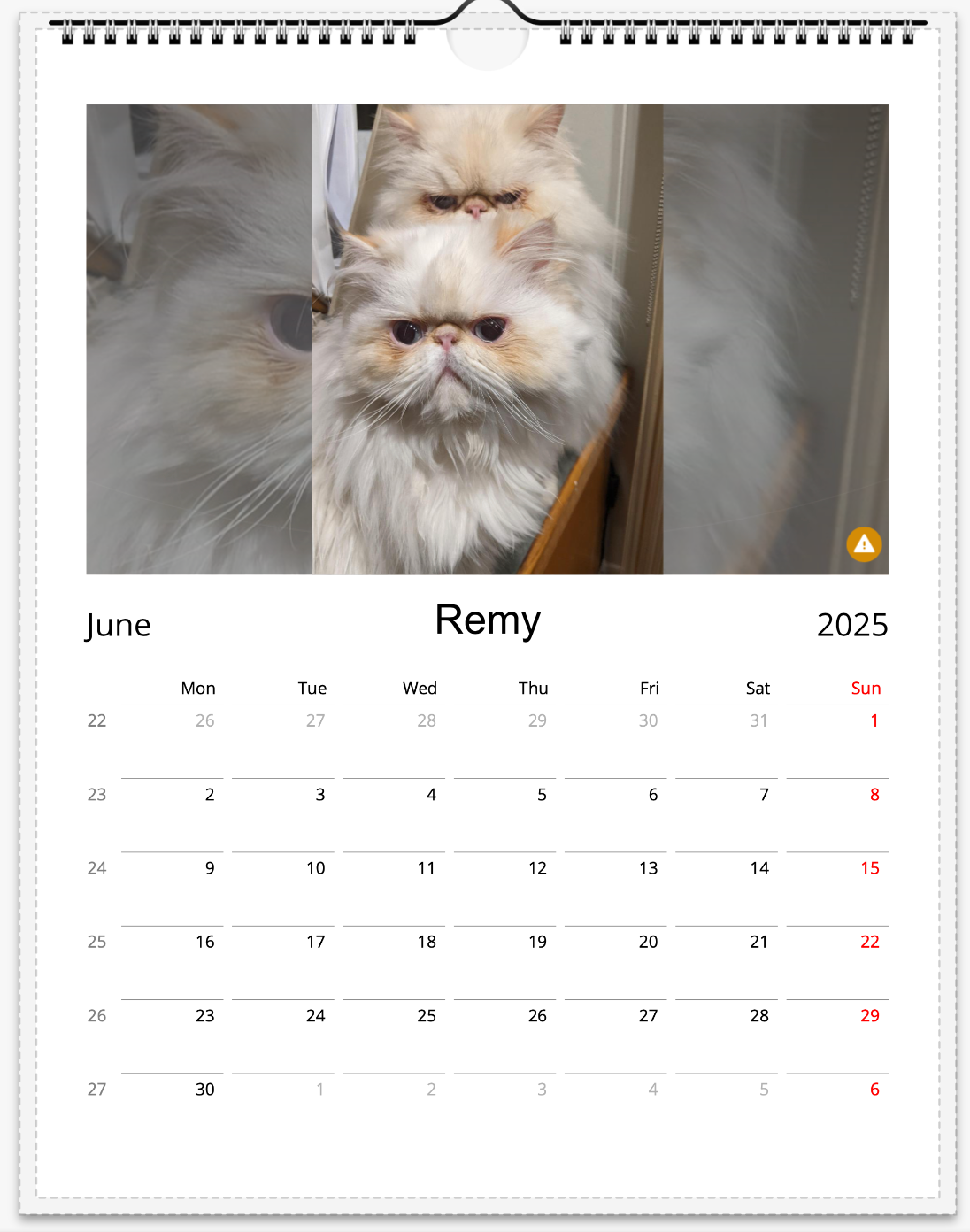 Tail-of-the-Month Calendar + Winner Discount (June 2025 - June 2026)