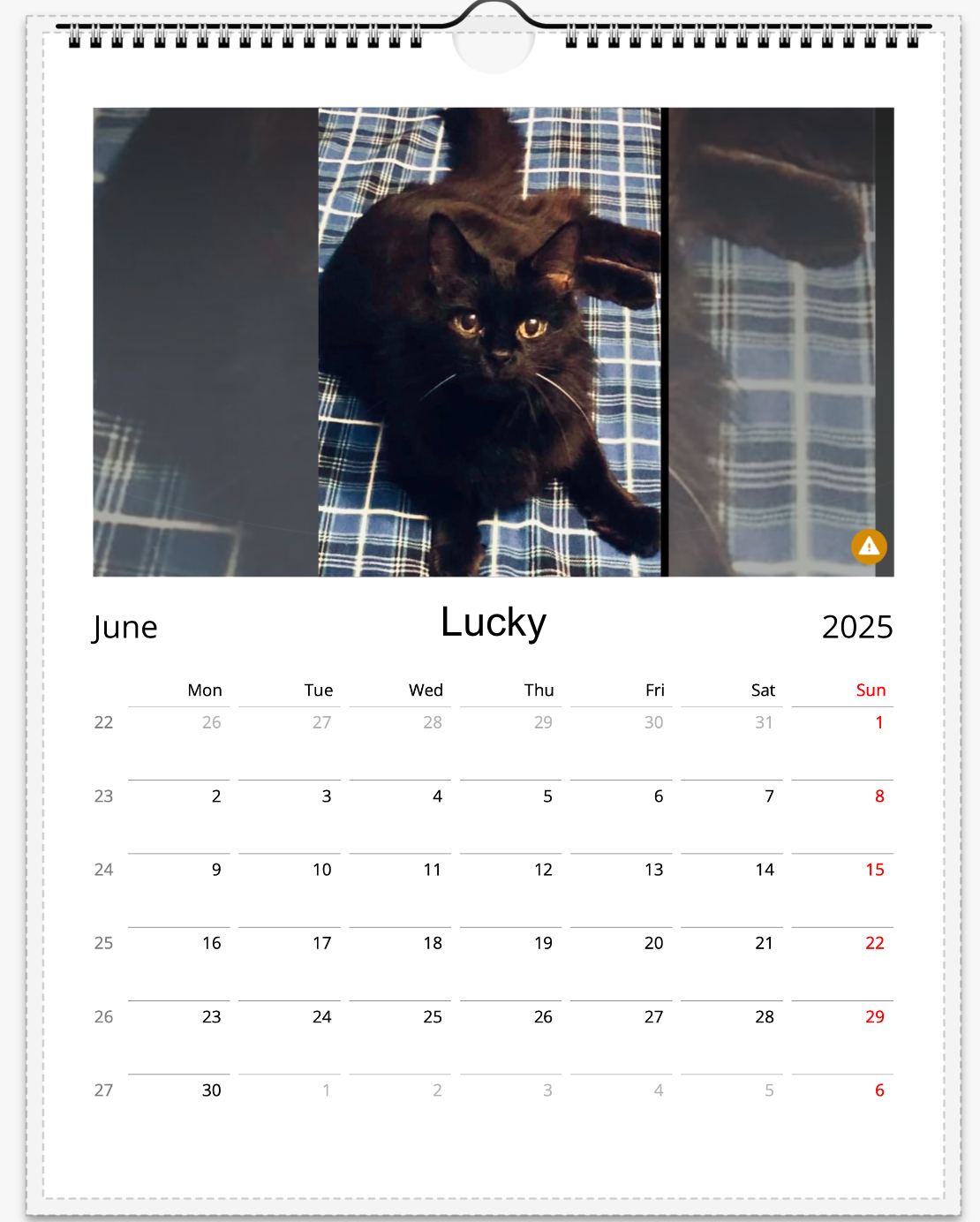 Tail-of-the-Month Calendar + Winner Discount (June 2025 - June 2026)