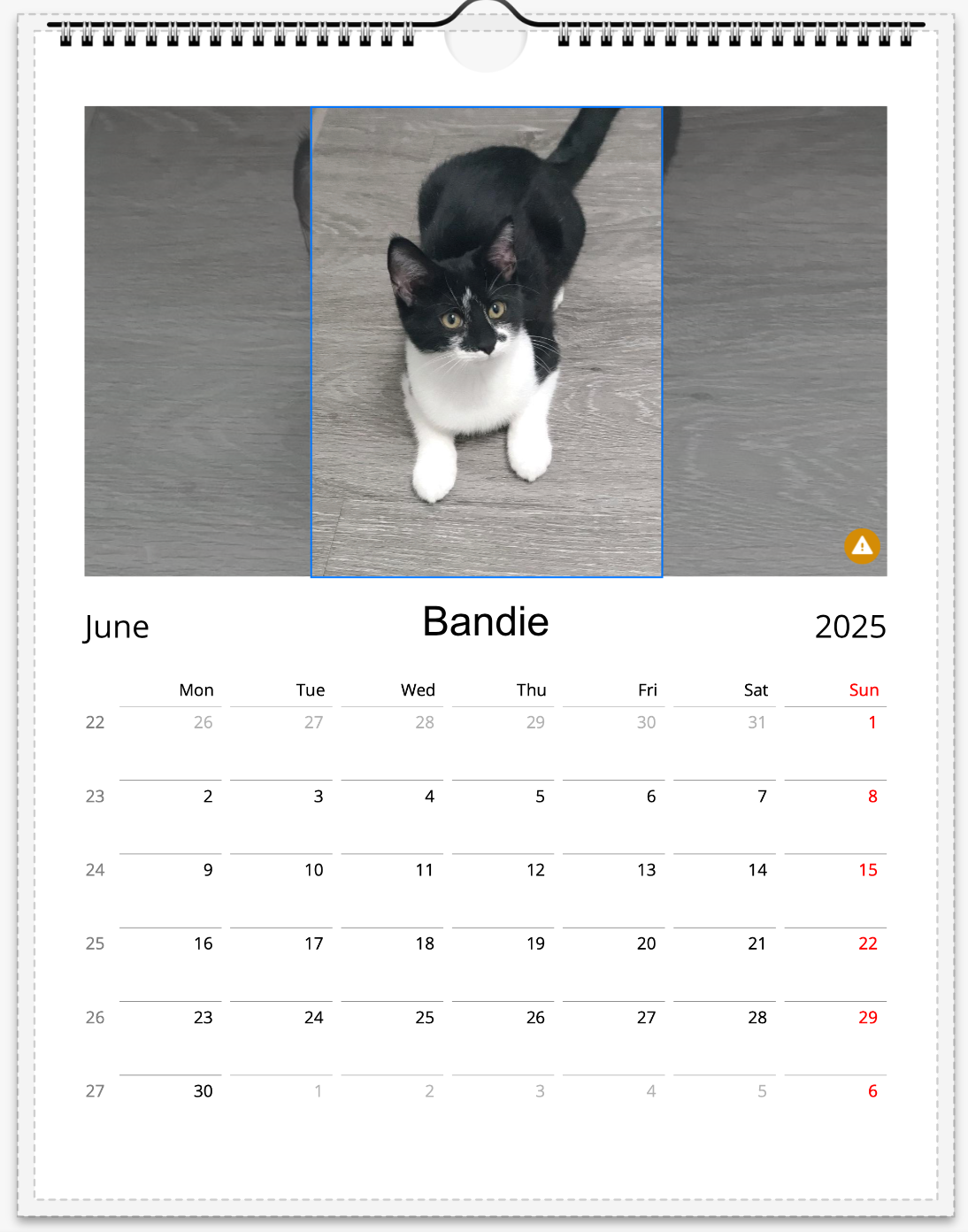 Tail-of-the-Month Calendar + Winner Discount (June 2025 - June 2026)