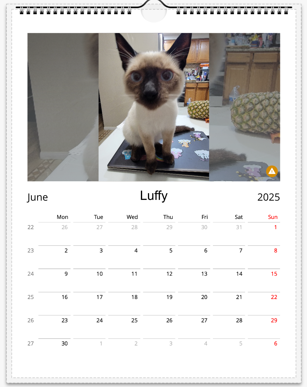 Tail-of-the-Month Calendar + Winner Discount (June 2025 - June 2026)