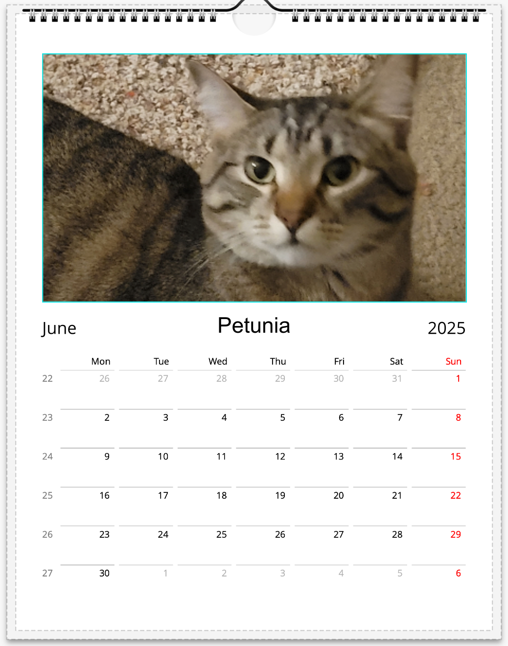 Tail-of-the-Month Calendar + Winner Discount (June 2025 - June 2026)