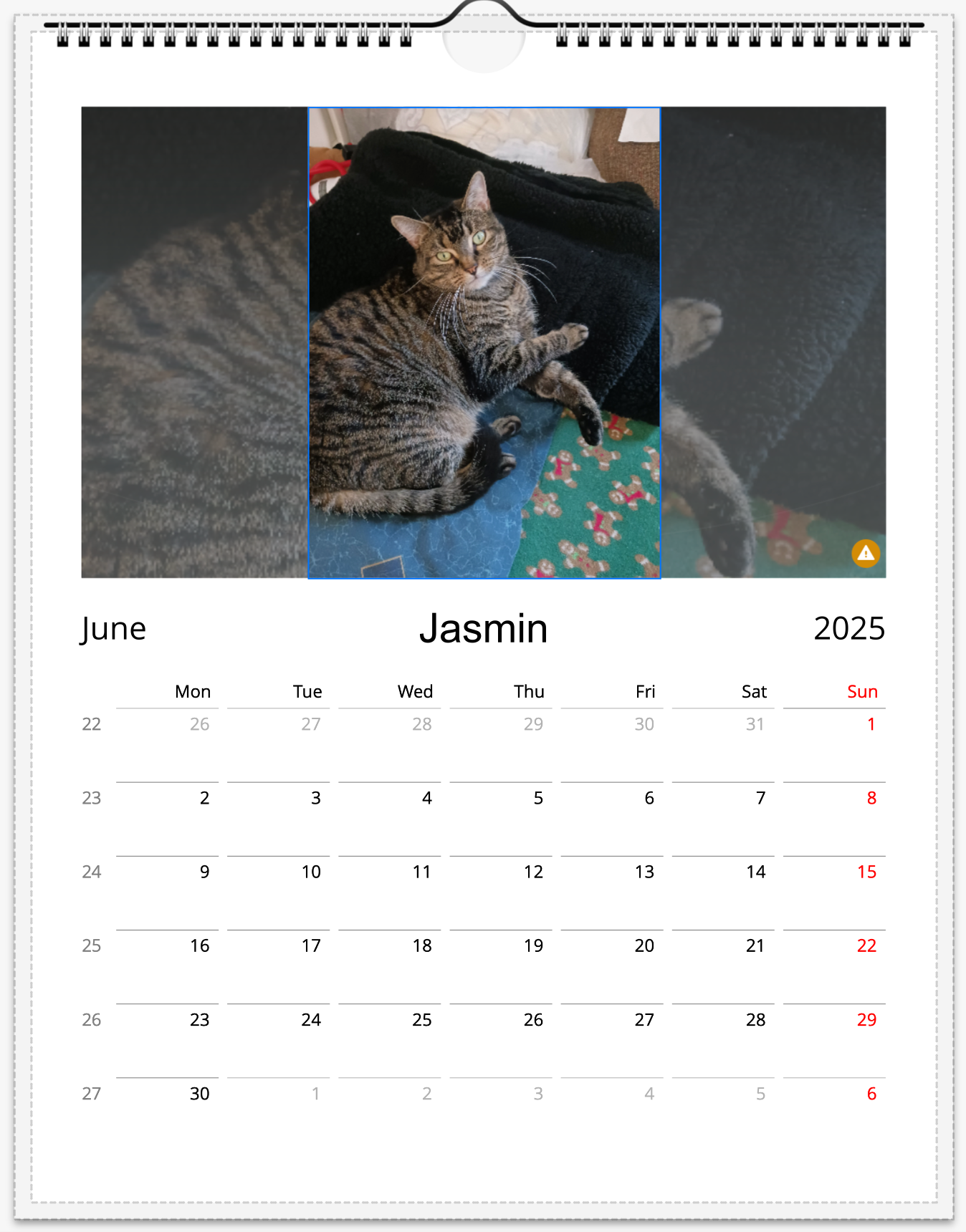 Tail-of-the-Month Calendar + Winner Discount (June 2025 - June 2026)