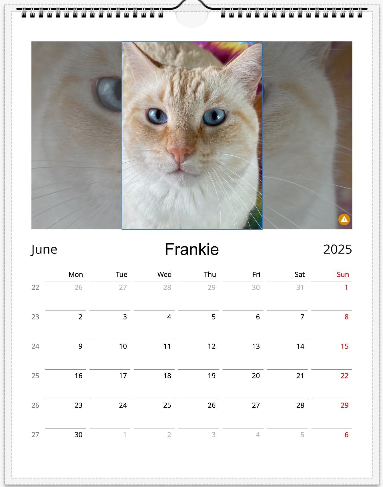 Tail-of-the-Month Calendar + Winner Discount (June 2025 - June 2026)