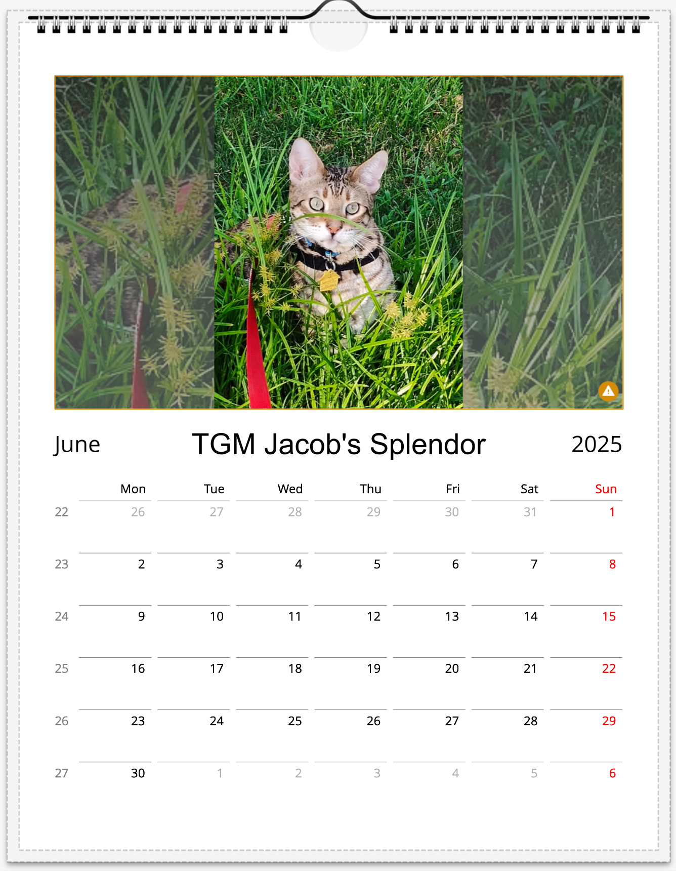 Tail-of-the-Month Calendar + Winner Discount (June 2025 - June 2026)