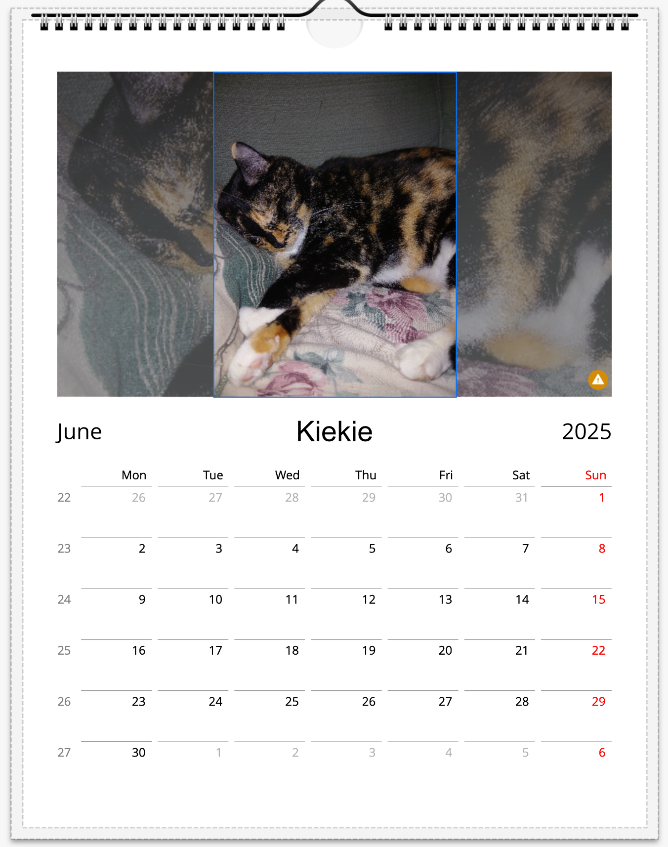 Tail-of-the-Month Calendar + Winner Discount (June 2025 - June 2026)