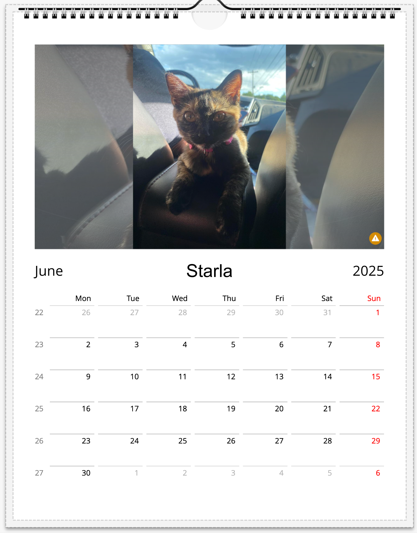 Tail-of-the-Month Calendar + Winner Discount (June 2025 - June 2026)