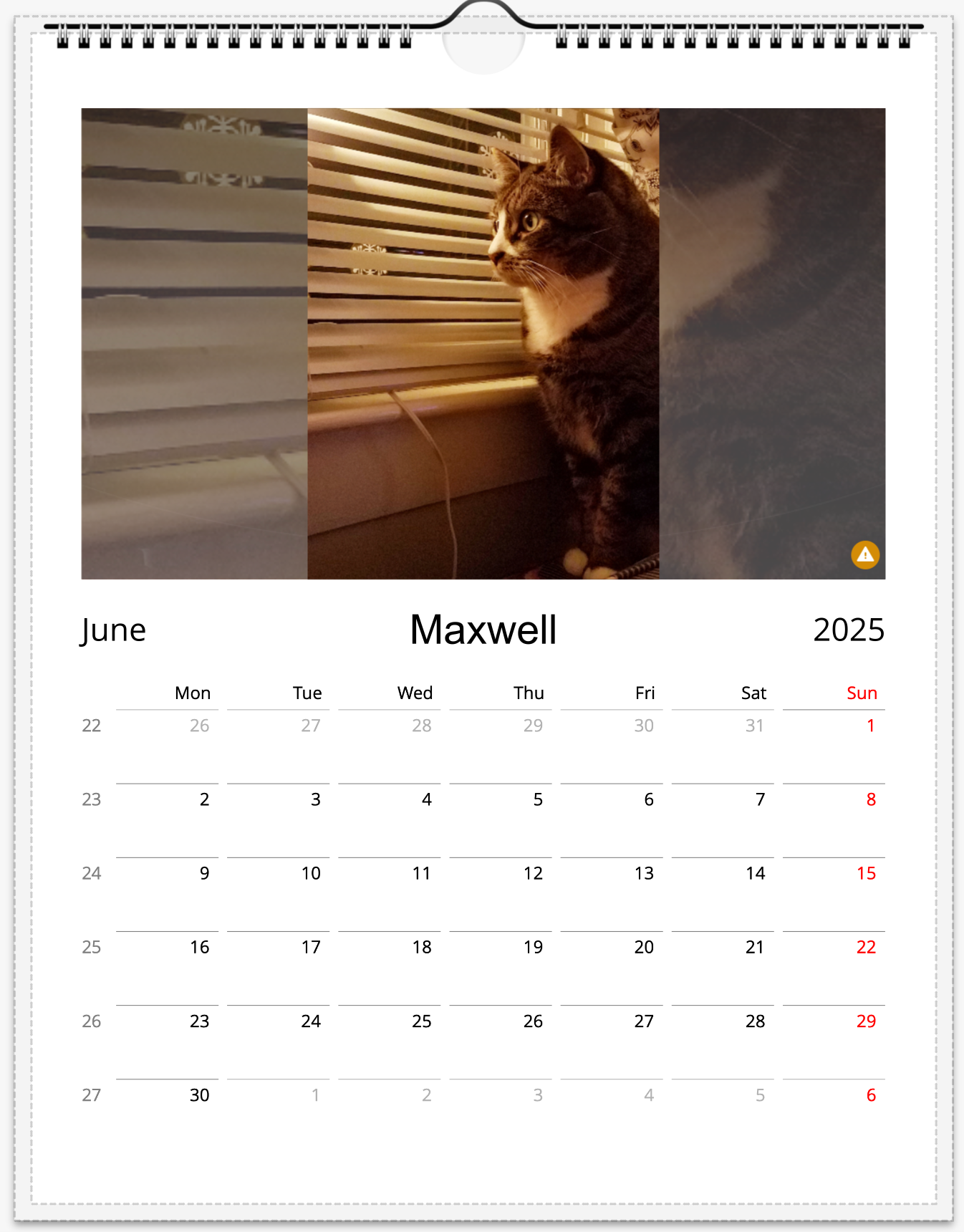 Tail-of-the-Month Calendar + Winner Discount (June 2025 - June 2026)