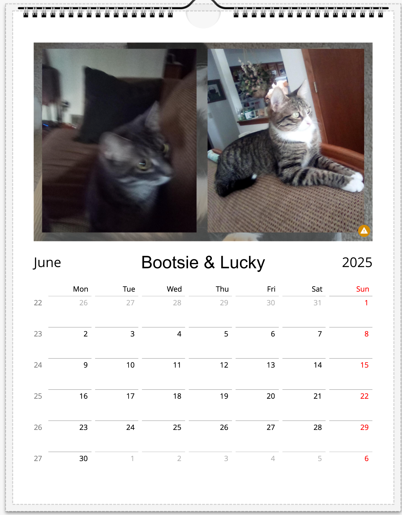 Tail-of-the-Month Calendar + Winner Discount (June 2025 - June 2026)