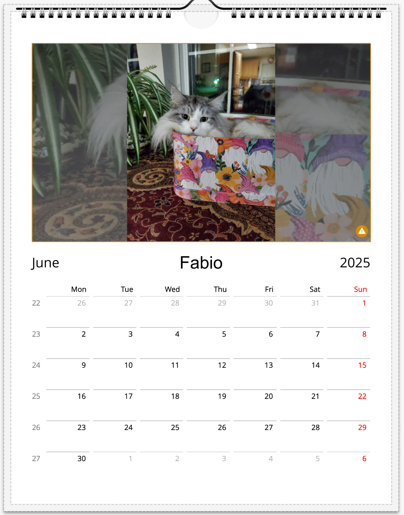 Tail-of-the-Month Calendar + Winner Discount (June 2025 - June 2026)