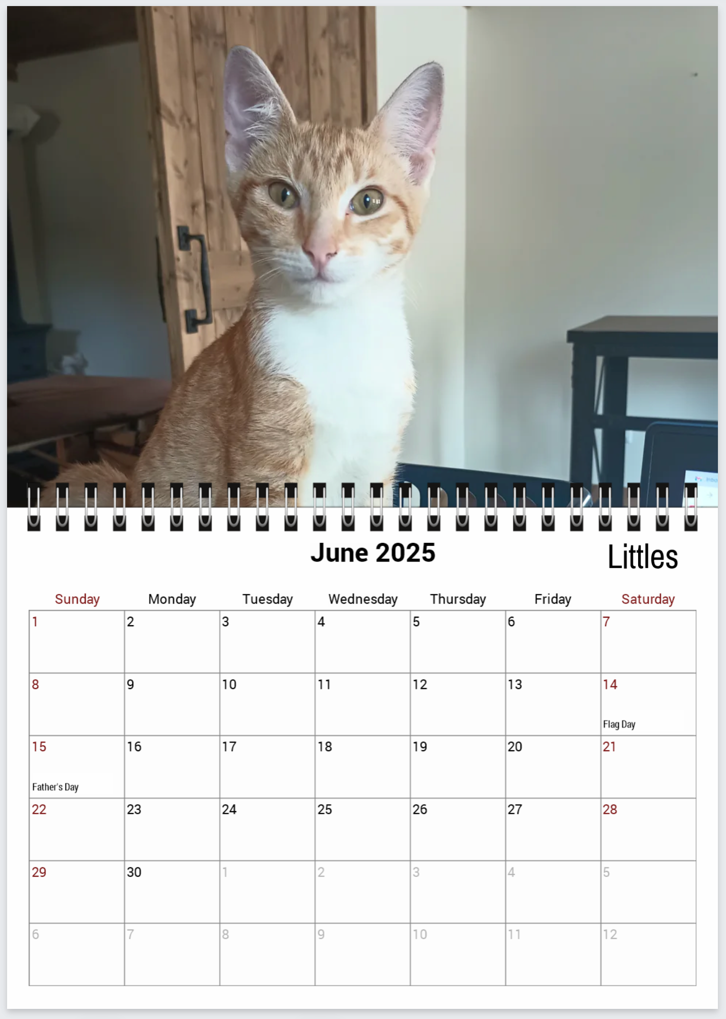 Tail-of-the-Month Calendar + Winner Discount (May 2025 - June 2026)