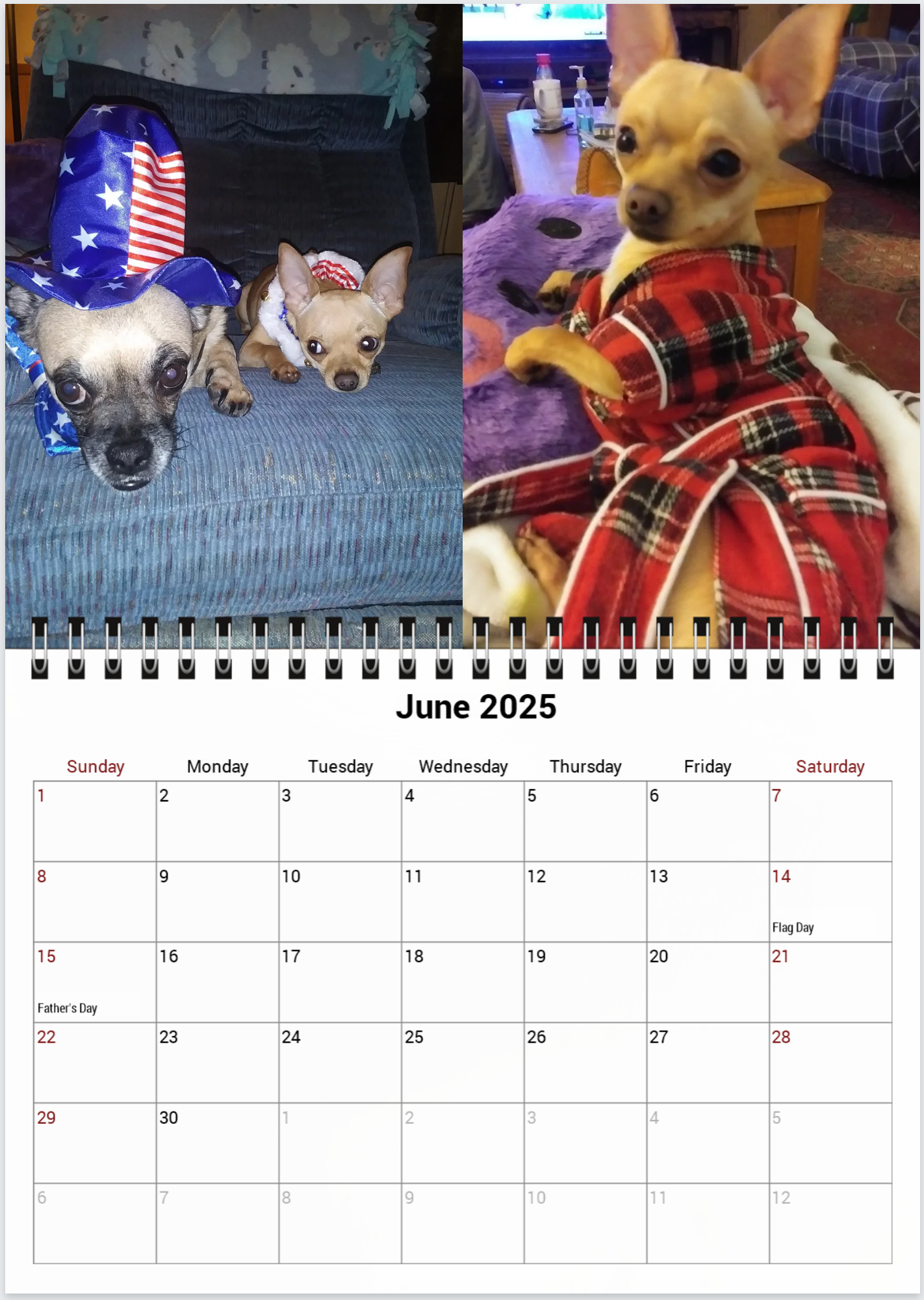 Tail-of-the-Month Calendar + Winner Discount (May 2025 - June 2026)