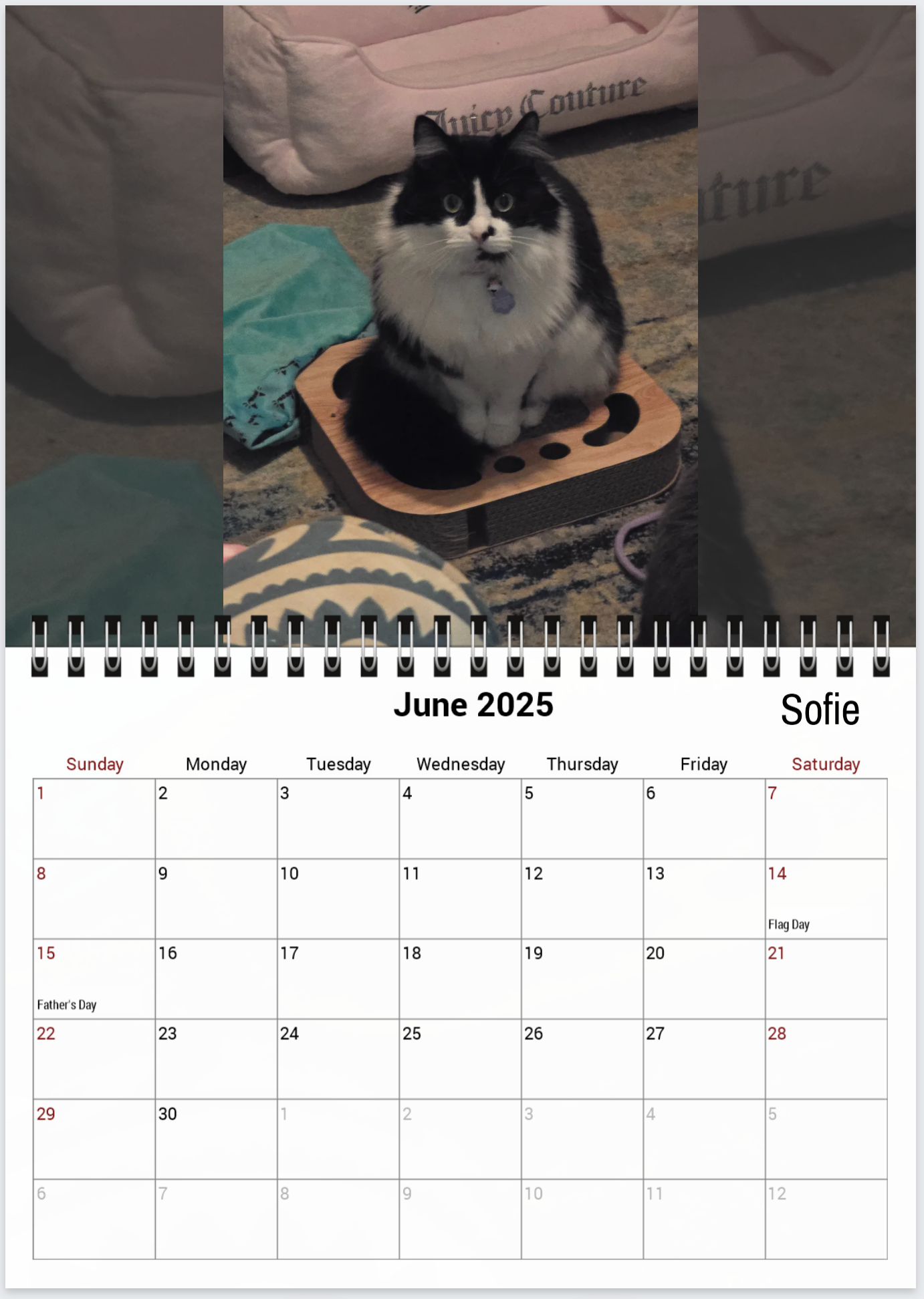 Tail-of-the-Month Calendar + Winner Discount (May 2025 - June 2026)