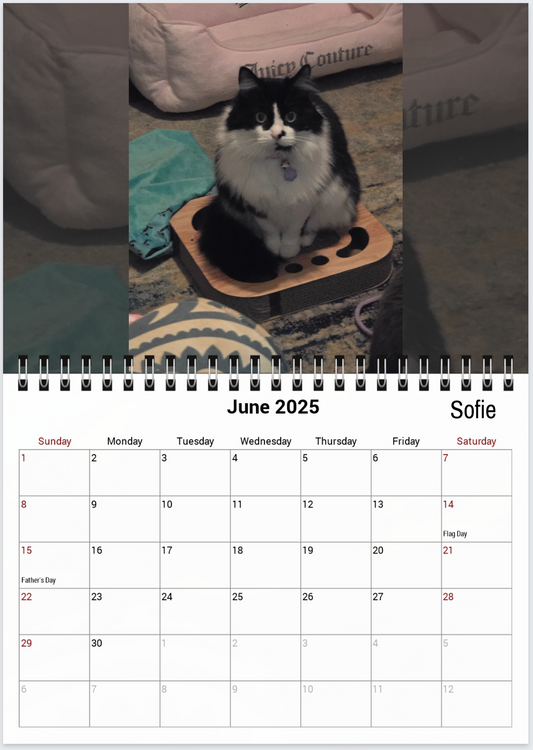 Tail-of-the-Month Calendar + Winner Discount (May 2025 - June 2026)