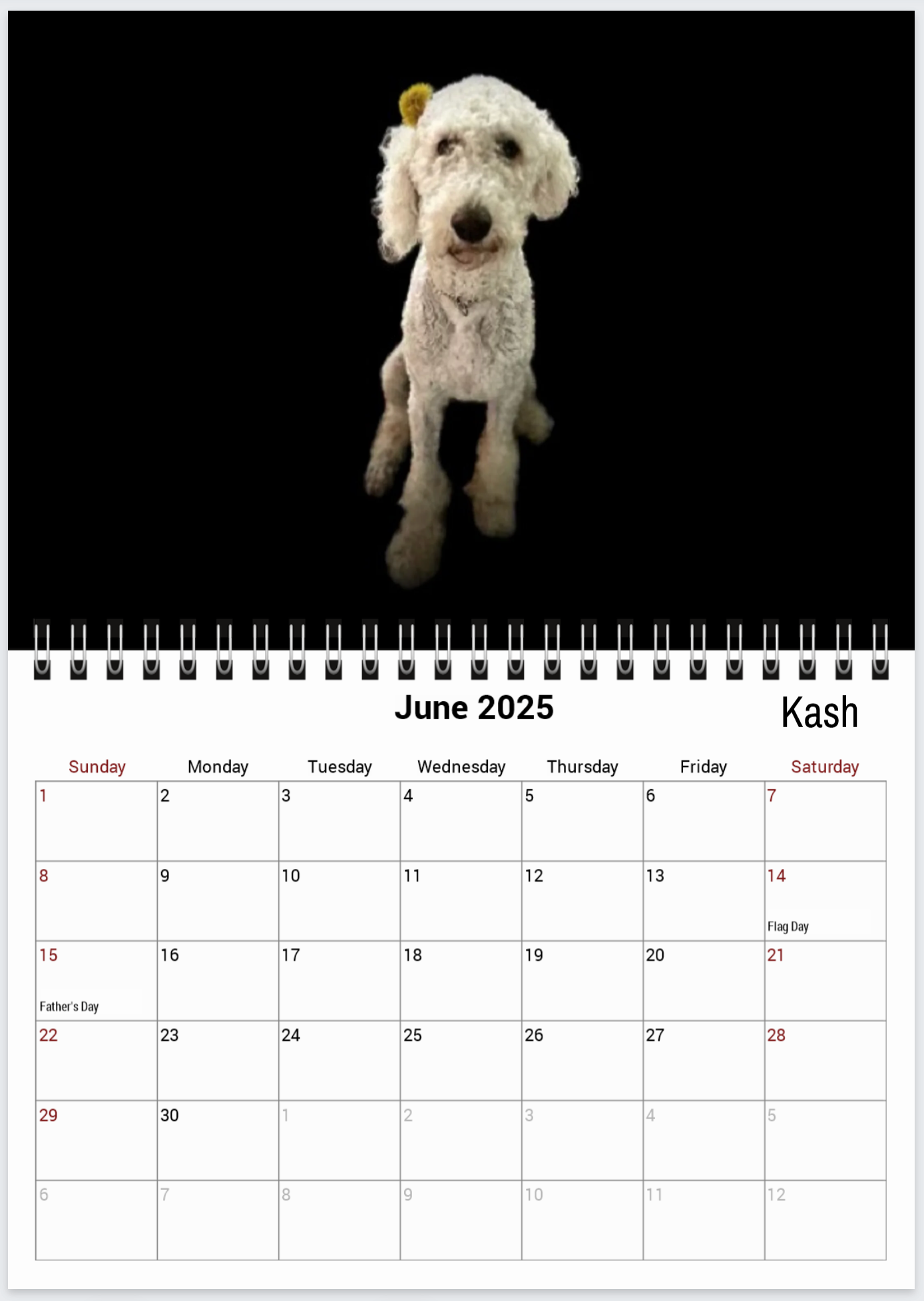 Tail-of-the-Month Calendar + Winner Discount (May 2025 - June 2026)