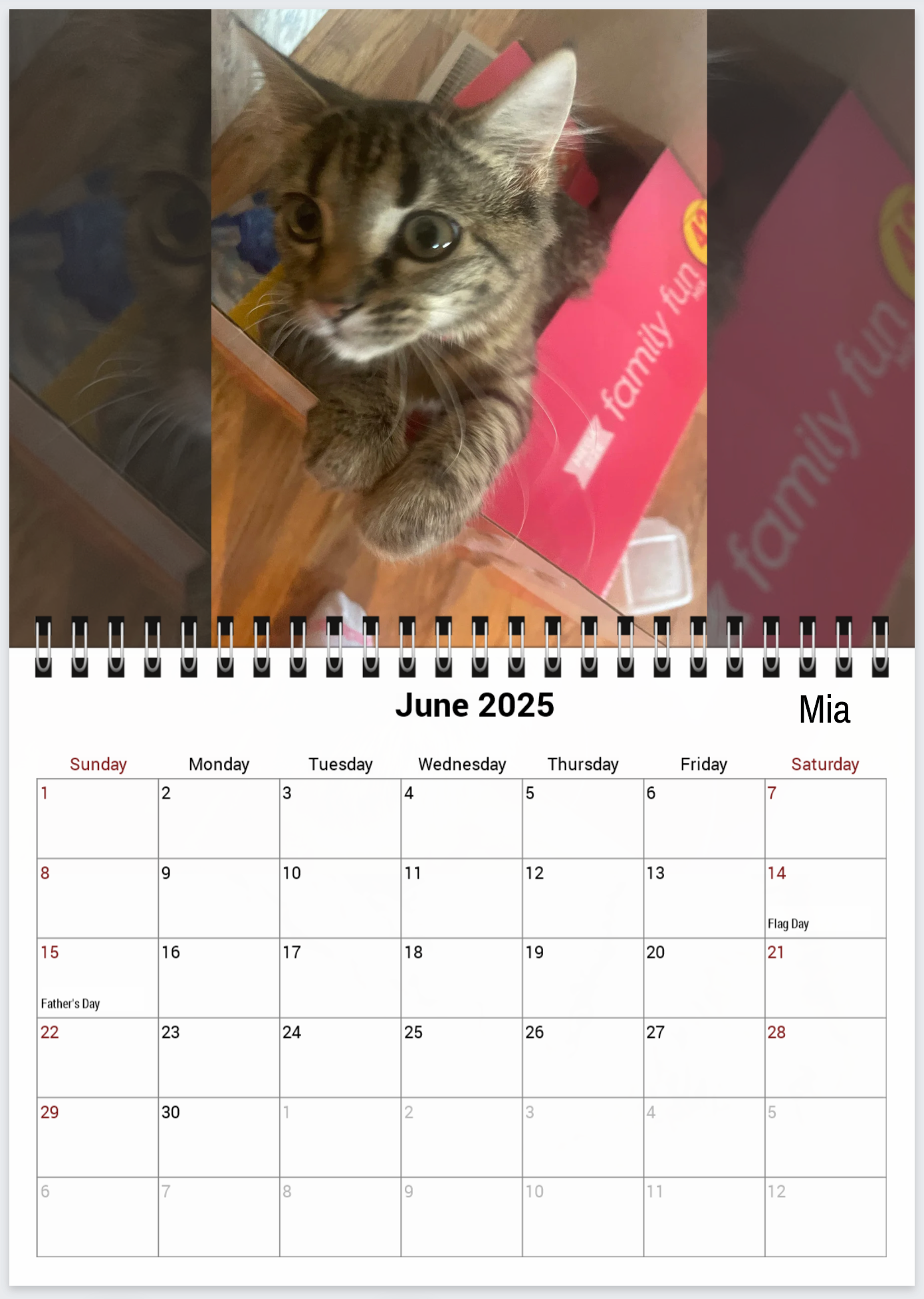 Tail-of-the-Month Calendar + Winner Discount (May 2025 - June 2026)