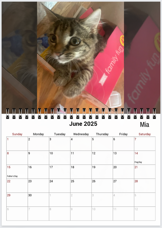 Tail-of-the-Month Calendar + Winner Discount (May 2025 - June 2026)