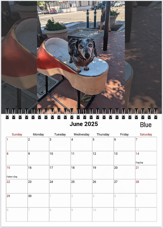 Tail-of-the-Month Calendar + Winner Discount (May 2025 - June 2026)
