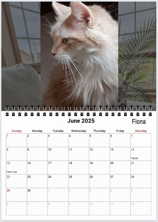 Tail-of-the-Month Calendar + Winner Discount (May 2025 - June 2026)