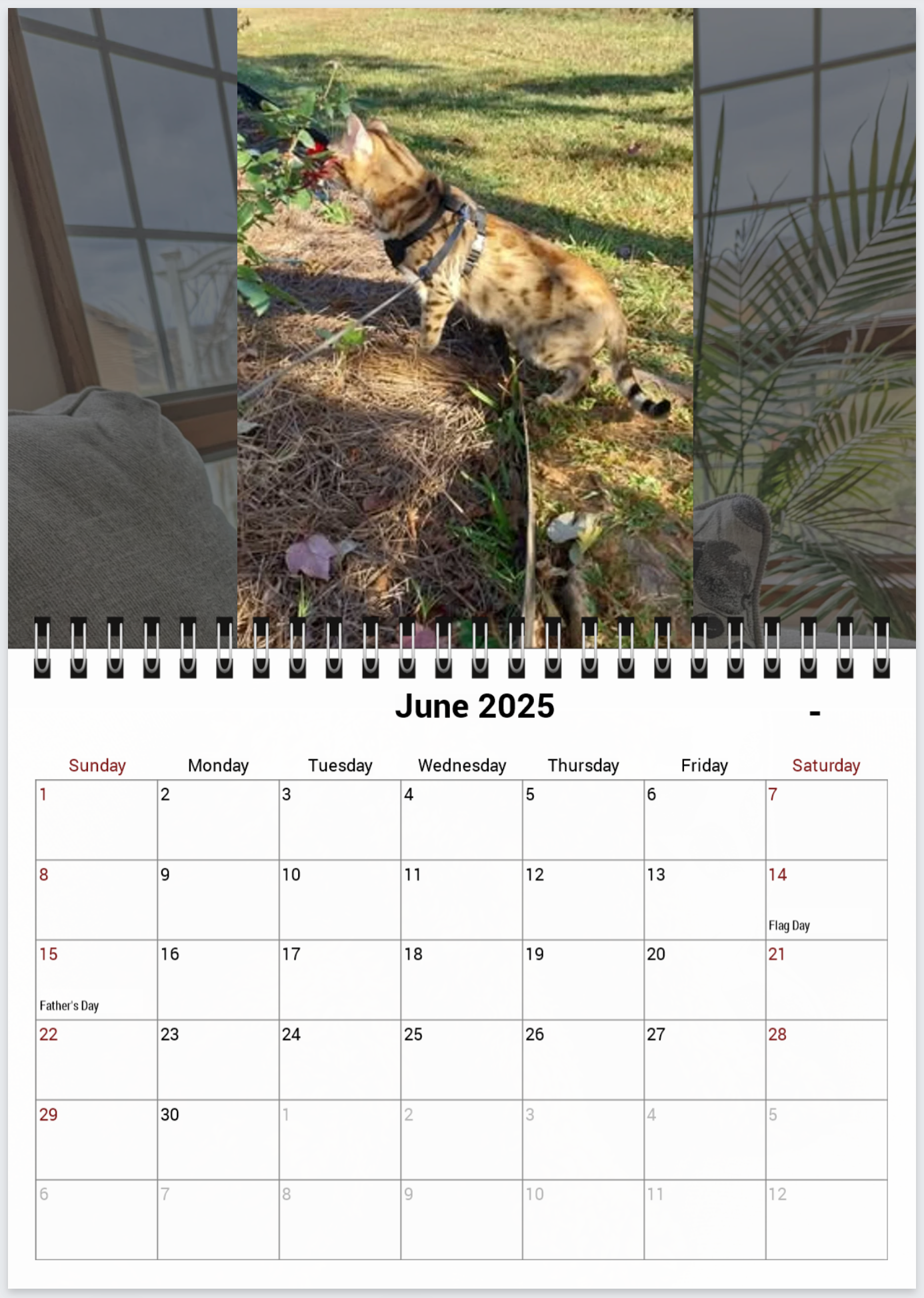 Tail-of-the-Month Calendar + Winner Discount (May 2025 - June 2026)