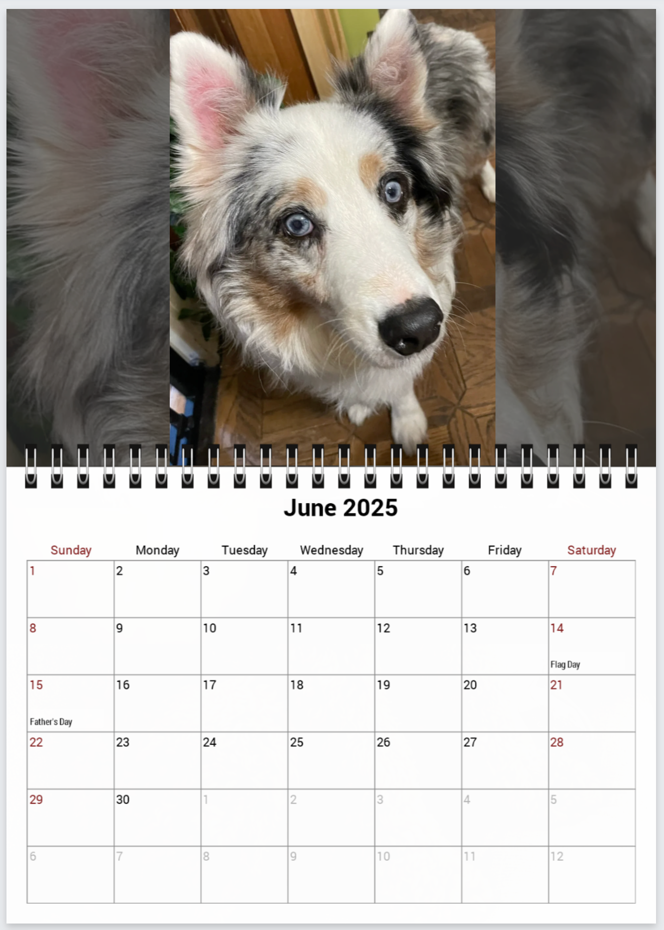 Tail-of-the-Month Calendar + Winner Discount (May 2025 - June 2026)