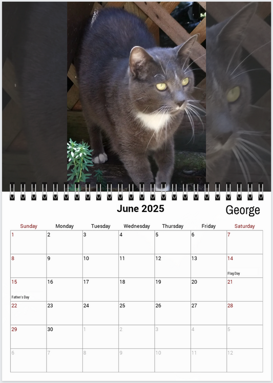 Tail-of-the-Month Calendar + Winner Discount (May 2025 - June 2026)