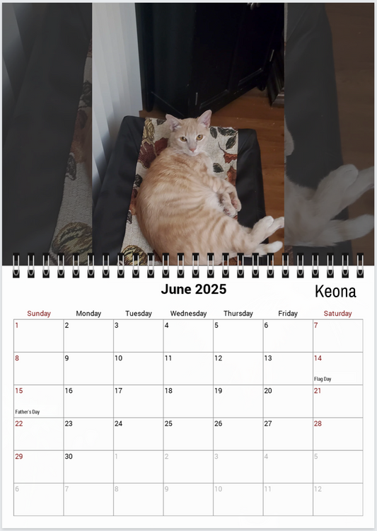Tail-of-the-Month Calendar + Winner Discount (May 2025 - June 2026)