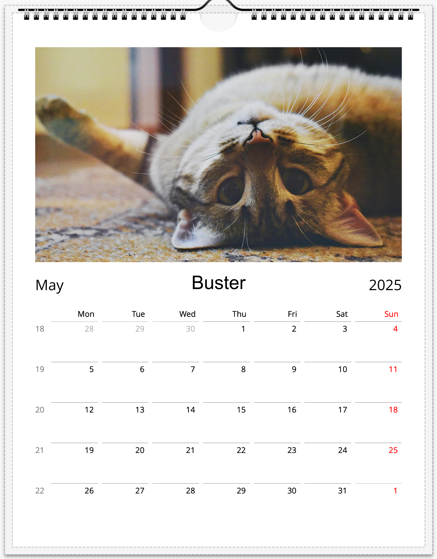 Tail-of-the-Month Calendar + Winner Discount (May 2025 - May 2026) (Copy)