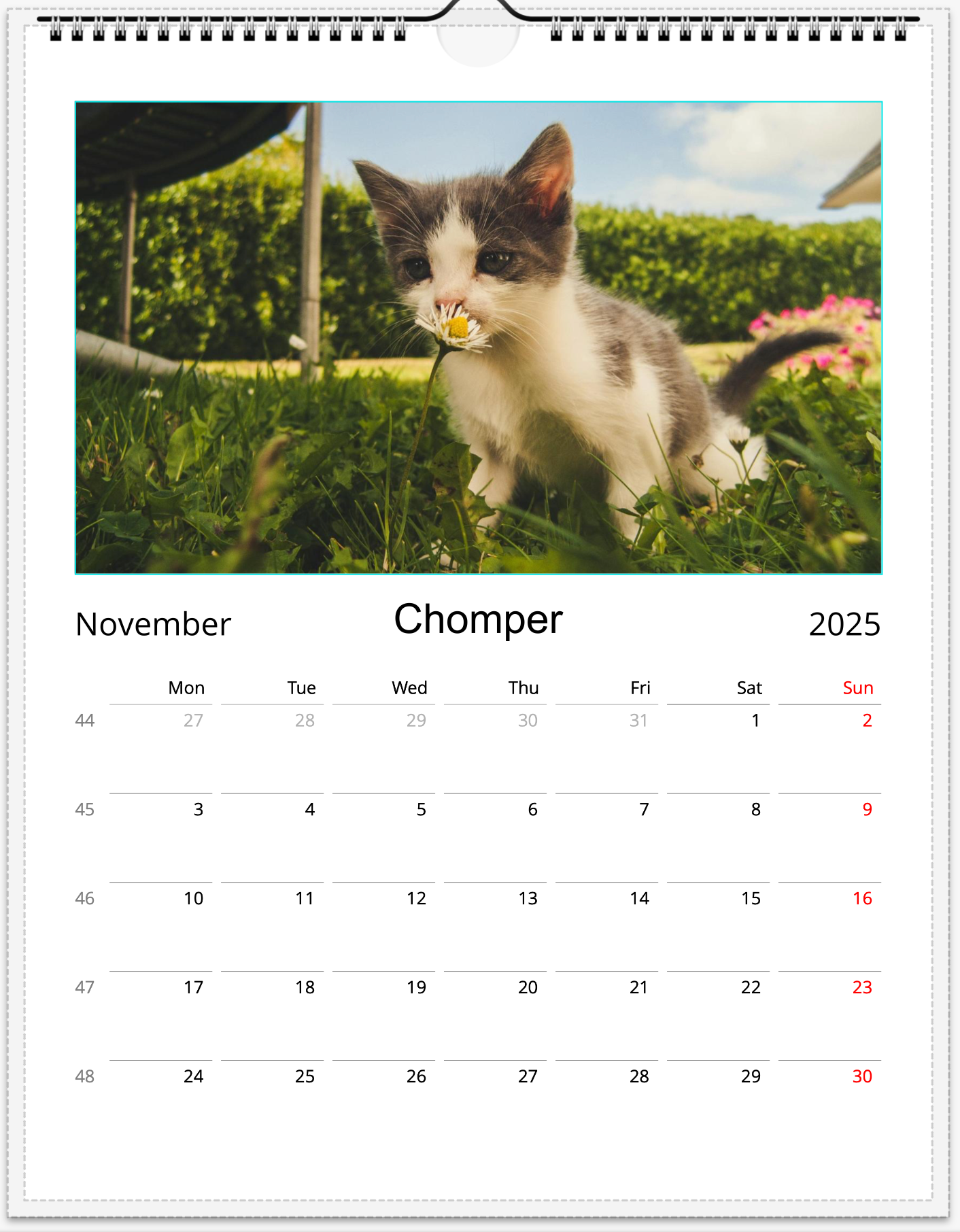 Tail-of-the-Month Calendar + Winner Discount (May 2025 - May 2026) (Copy)