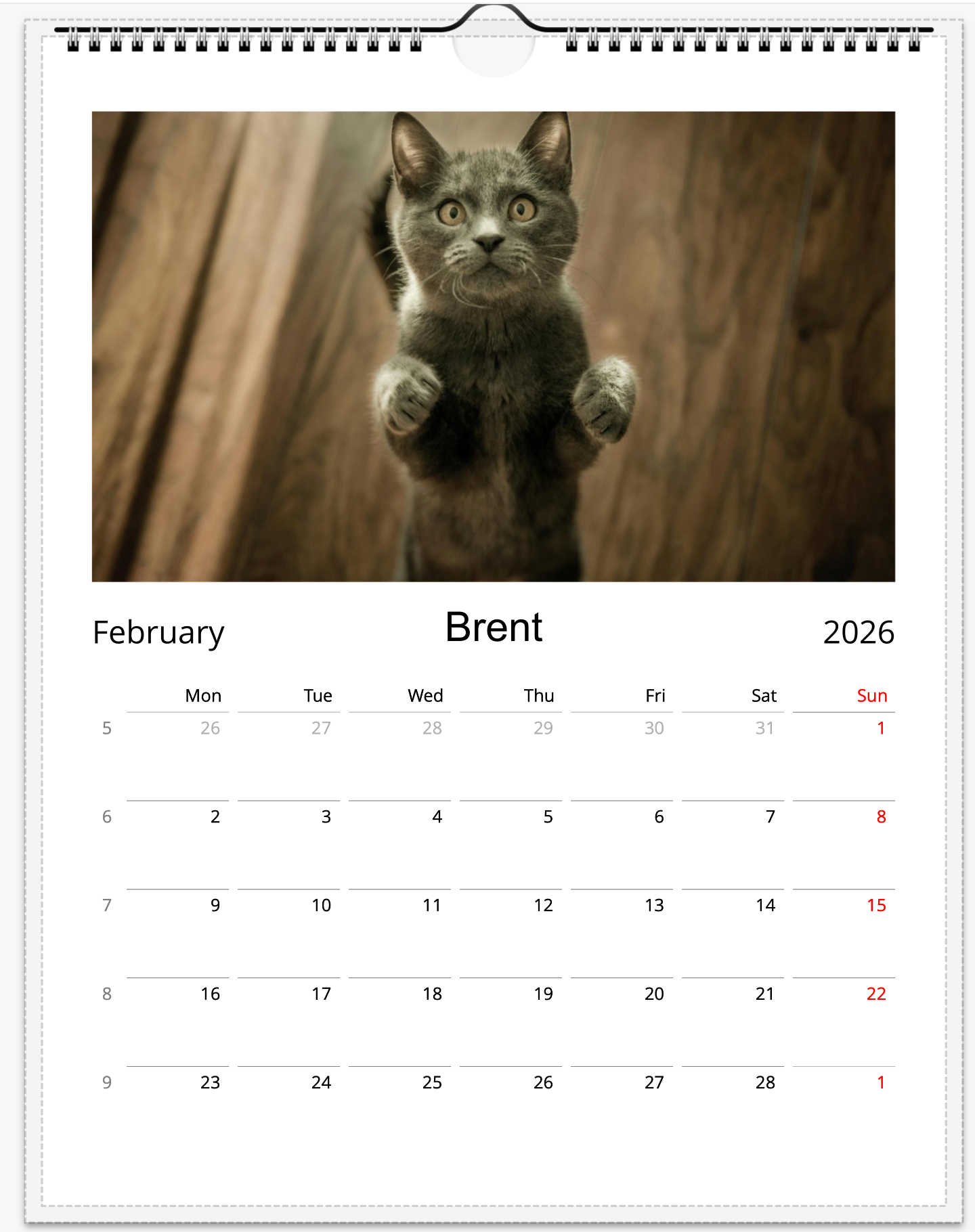 Tail-of-the-Month Calendar + Winner Discount (May 2025 - May 2026) (Copy)