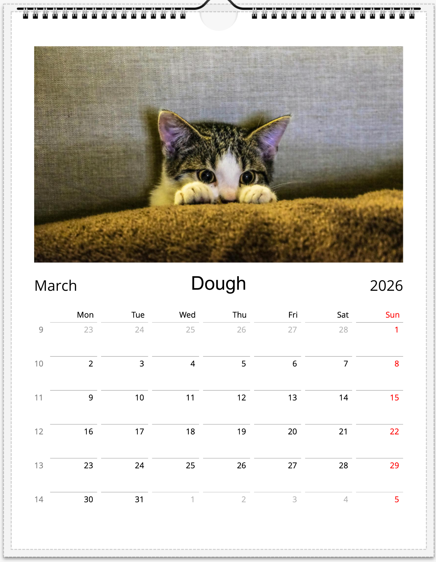 Tail-of-the-Month Calendar + Winner Discount (May 2025 - May 2026) (Copy)