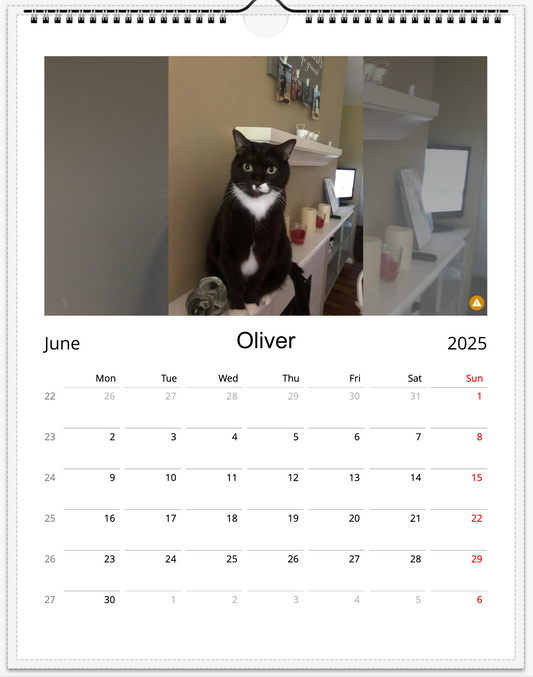 Tail-of-the-Month Calendar + Winner Discount (May 2025 - May 2026)