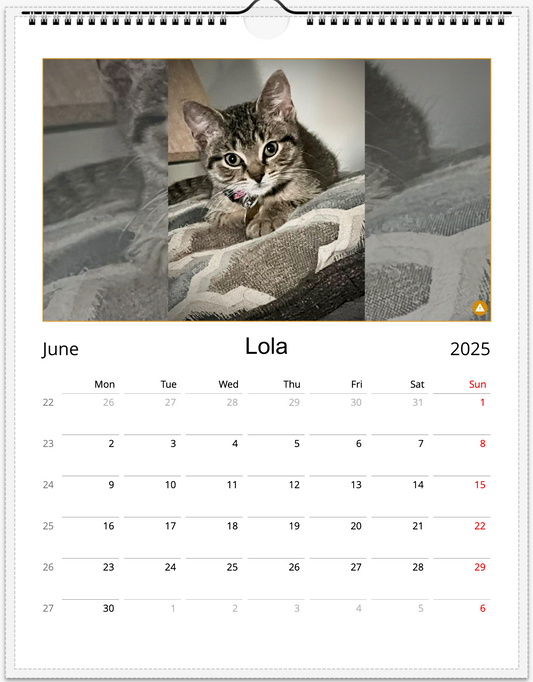 Tail-of-the-Month Calendar + Winner Discount (May 2025 - May 2026)