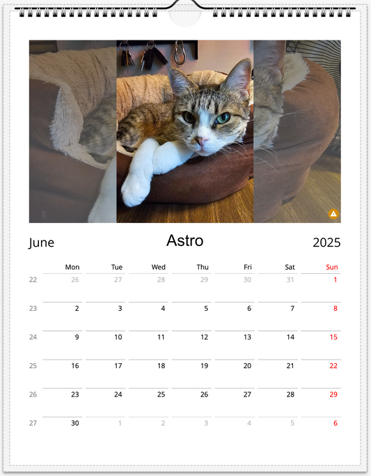 Tail-of-the-Month Calendar + Winner Discount (May 2025 - May 2026)