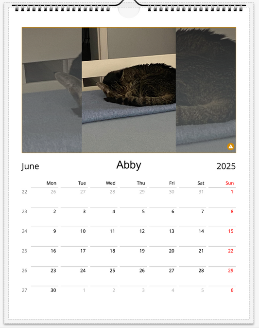 Tail-of-the-Month Calendar + Winner Discount (May 2025 - May 2026)