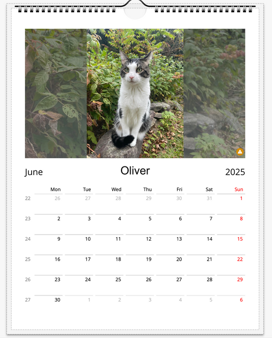 Tail-of-the-Month Calendar + Winner Discount (May 2025 - May 2026)