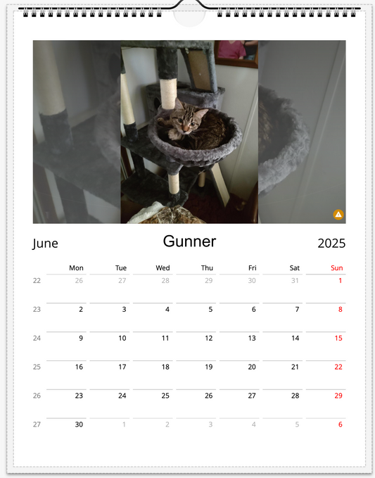 Tail-of-the-Month Calendar + Winner Discount (May 2025 - May 2026)