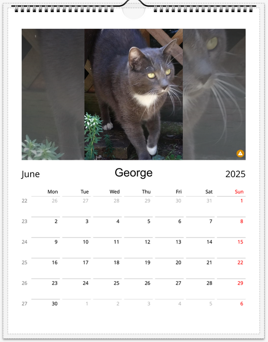 Tail-of-the-Month Calendar + Winner Discount (May 2025 - May 2026)