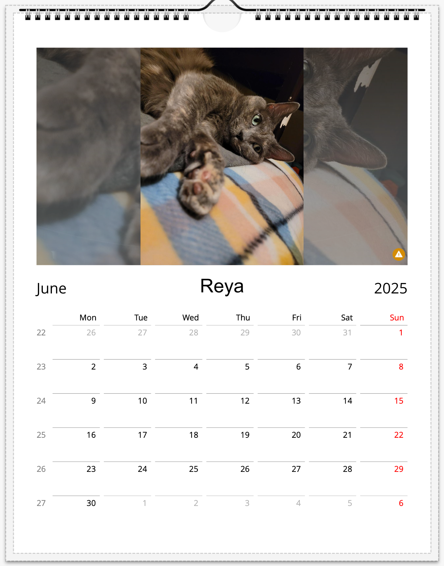 Tail-of-the-Month Calendar + Winner Discount (May 2025 - May 2026)