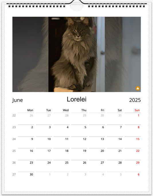 Tail-of-the-Month Calendar + Winner Discount (May 2025 - May 2026)