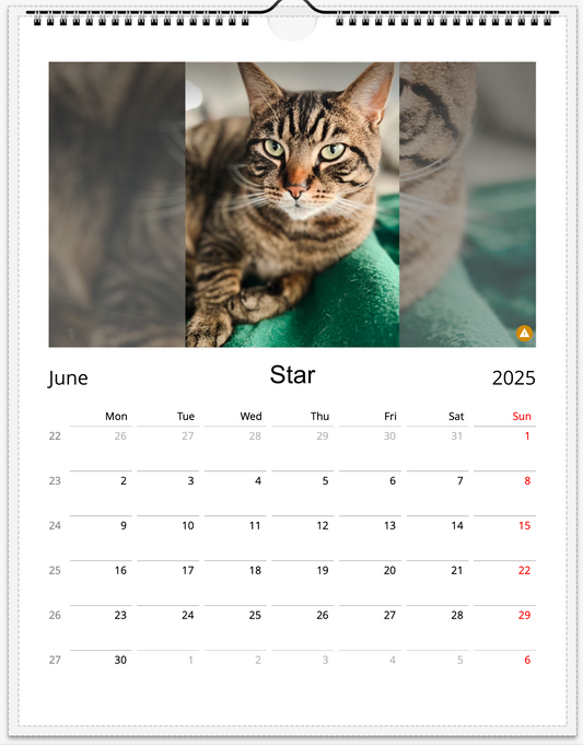 Tail-of-the-Month Calendar + Winner Discount (May 2025 - May 2026)
