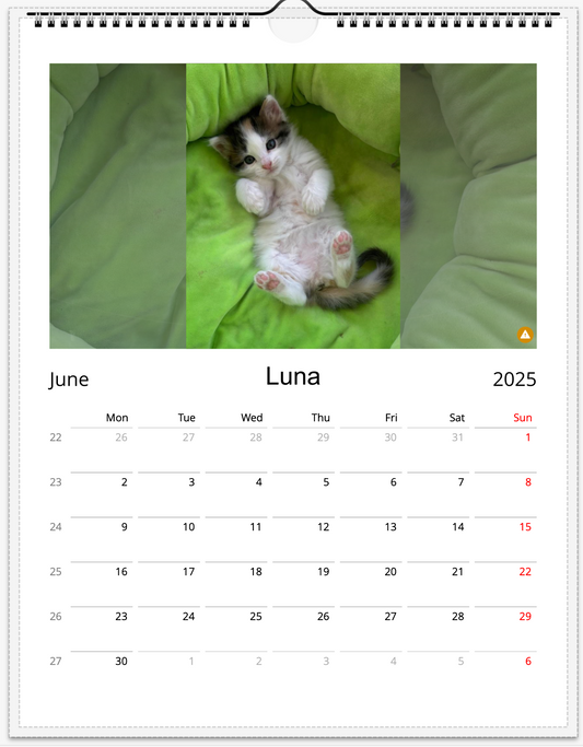 Tail-of-the-Month Calendar + Winner Discount (May 2025 - May 2026)