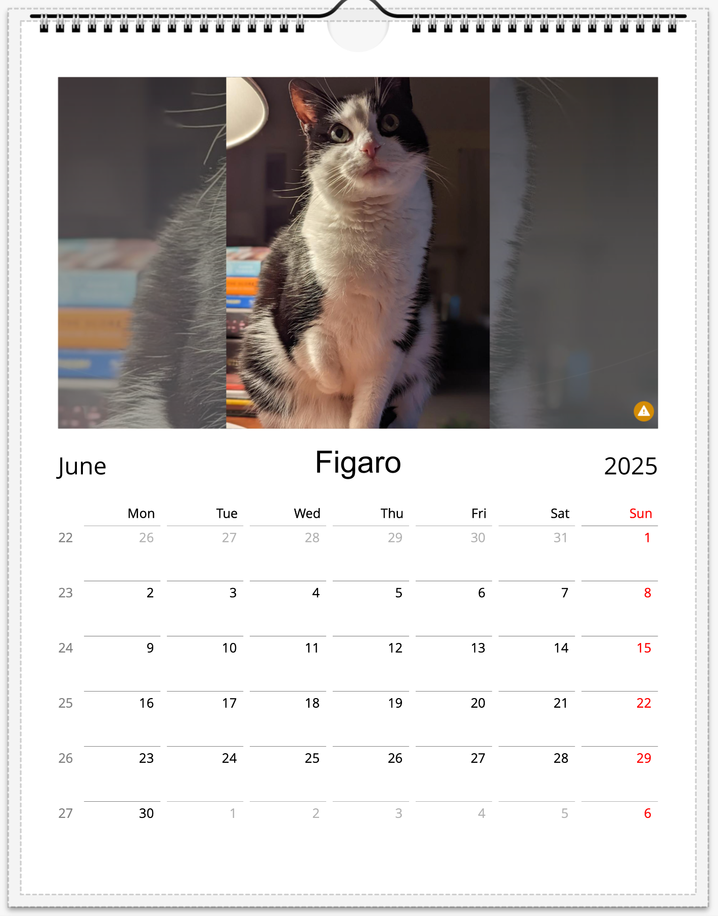 Tail-of-the-Month Calendar + Winner Discount (May 2025 - May 2026)