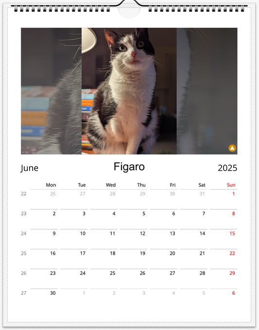 Tail-of-the-Month Calendar + Winner Discount (May 2025 - May 2026)